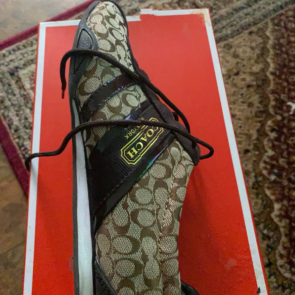 Coach brown showed size 10